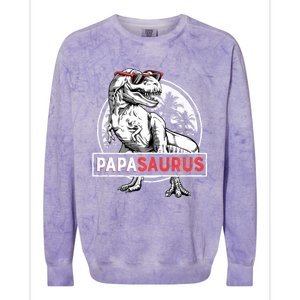 Papasaurus T Rex Dinosaur Funny Papa Saurus Family Matching Long Sleeve Colorblast Crewneck Sweatshirt