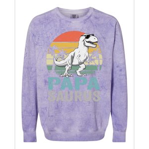 Papasaurus T Rex Dinosaur Papa Saurus Family Matching Hoodie Colorblast Crewneck Sweatshirt