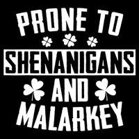 Prone To Shenanigans And Malarkey Irish Shamrock Leprechaun Youth Performance Sprint T-Shirt