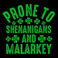 Prone To Shenanigans And Malarkey Irish Shamrock Leprechaun Youth Performance Sprint T-Shirt