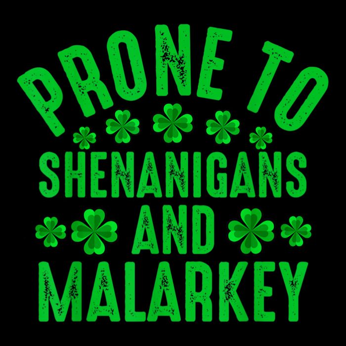 Prone To Shenanigans And Malarkey Irish Shamrock Leprechaun Youth Performance Sprint T-Shirt