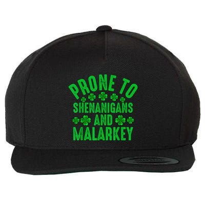Prone To Shenanigans And Malarkey Irish Shamrock Leprechaun Wool Snapback Cap