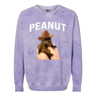 Peanut The Squirrel Colorblast Crewneck Sweatshirt