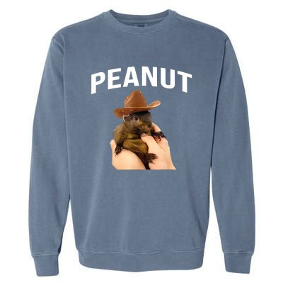 Peanut The Squirrel Garment-Dyed Sweatshirt