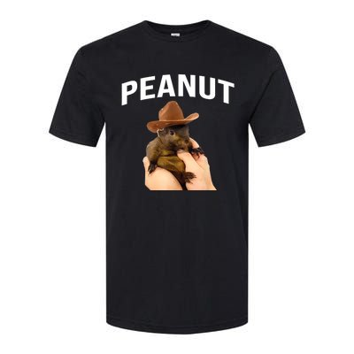 Peanut The Squirrel Softstyle CVC T-Shirt