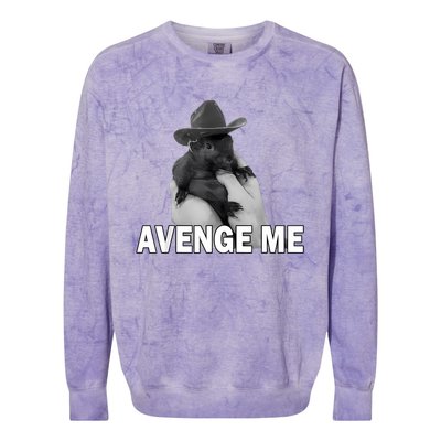 Peanut The Squirrel Avenge Me Colorblast Crewneck Sweatshirt