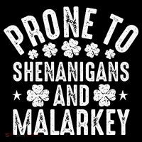 Prone To Shenanigans And Malarkey St Patricks Day Womens T-Shirt
