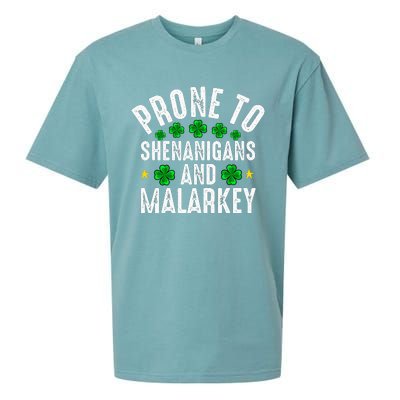 Prone To Shenanigans And Malarkey St Patricks Day Sueded Cloud Jersey T-Shirt