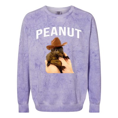 Peanut The Squirrel Colorblast Crewneck Sweatshirt