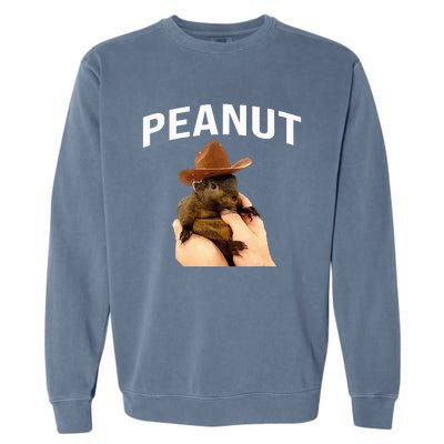 Peanut The Squirrel Garment-Dyed Sweatshirt