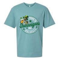 Prone To Shenanigans And Malarkey St Patricks Day Sueded Cloud Jersey T-Shirt