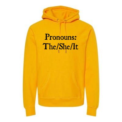 Pronouns The She It Premium Hoodie