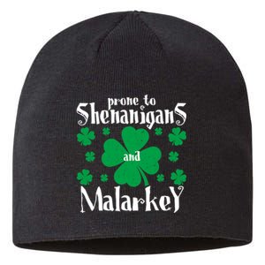 Prone To Shenanigans And Malarkey Boys St Patricks Day Funny Sustainable Beanie