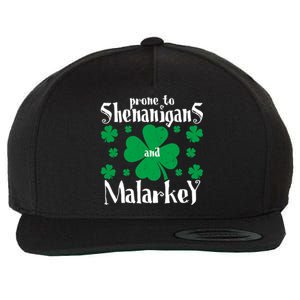 Prone To Shenanigans And Malarkey Boys St Patricks Day Funny Wool Snapback Cap