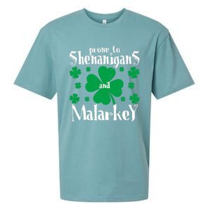 Prone To Shenanigans And Malarkey Boys St Patricks Day Funny Sueded Cloud Jersey T-Shirt