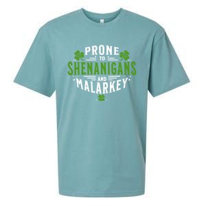 Prone To Shenanigans And Malarkey St Patricks Day Sueded Cloud Jersey T-Shirt