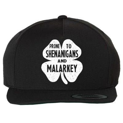 Prone To Shenanigans And Malarkey Happy St Patricks Day Wool Snapback Cap