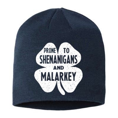 Prone To Shenanigans And Malarkey Happy St Patricks Day Sustainable Beanie