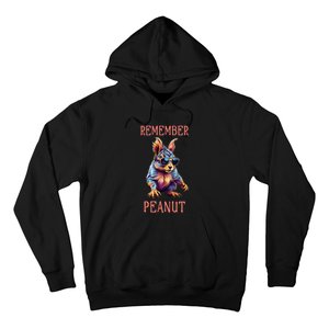 Peanut The Squirrel Conservative Maga Hoodie