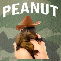 Peanut The Squirrel Legacy Tie Dye Trucker Hat