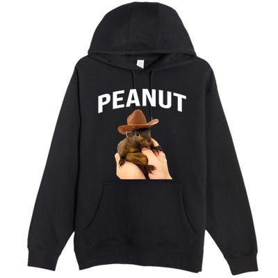Peanut The Squirrel Premium Pullover Hoodie