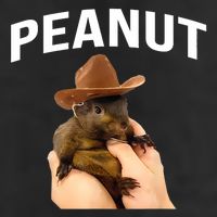 Peanut The Squirrel Golf Towel