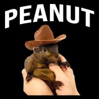 Peanut The Squirrel Toddler T-Shirt