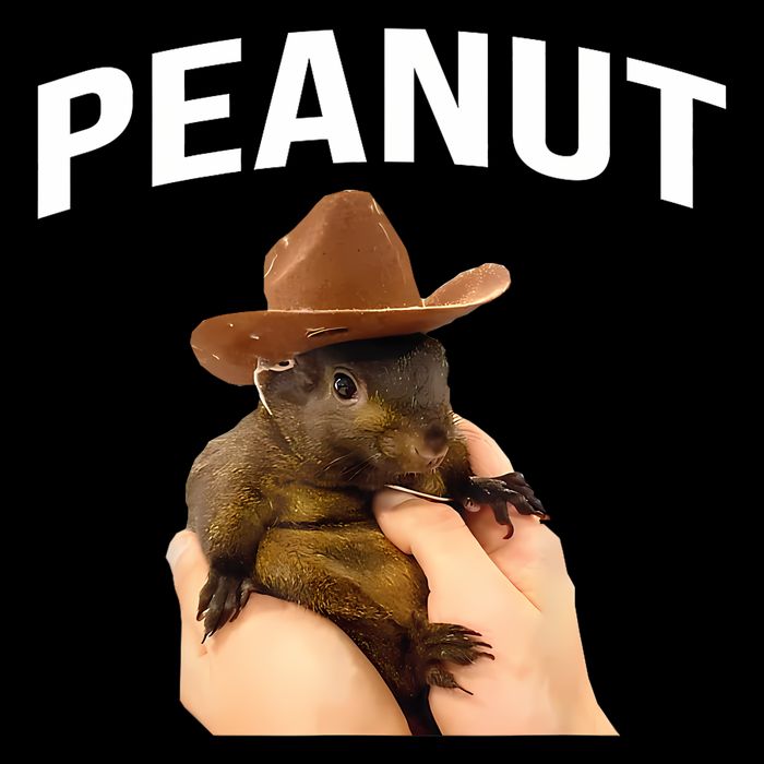Peanut The Squirrel Toddler T-Shirt