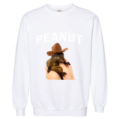 Peanut The Squirrel Garment-Dyed Sweatshirt