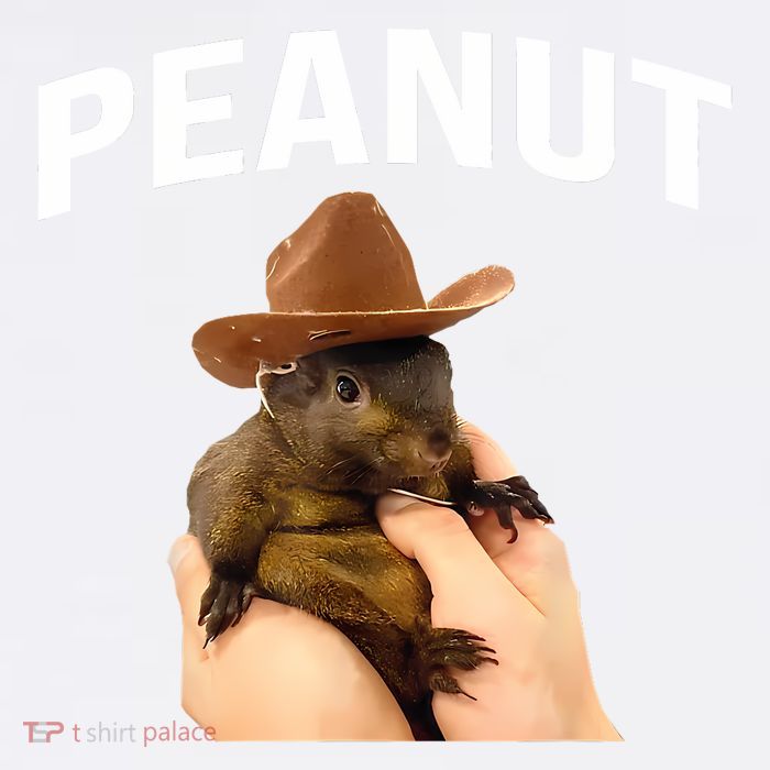 Peanut The Squirrel Garment-Dyed Sweatshirt