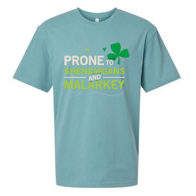 Prone To Shenanigans And Malarkey Funny Ireland Leprechaun Irish Gift Sueded Cloud Jersey T-Shirt