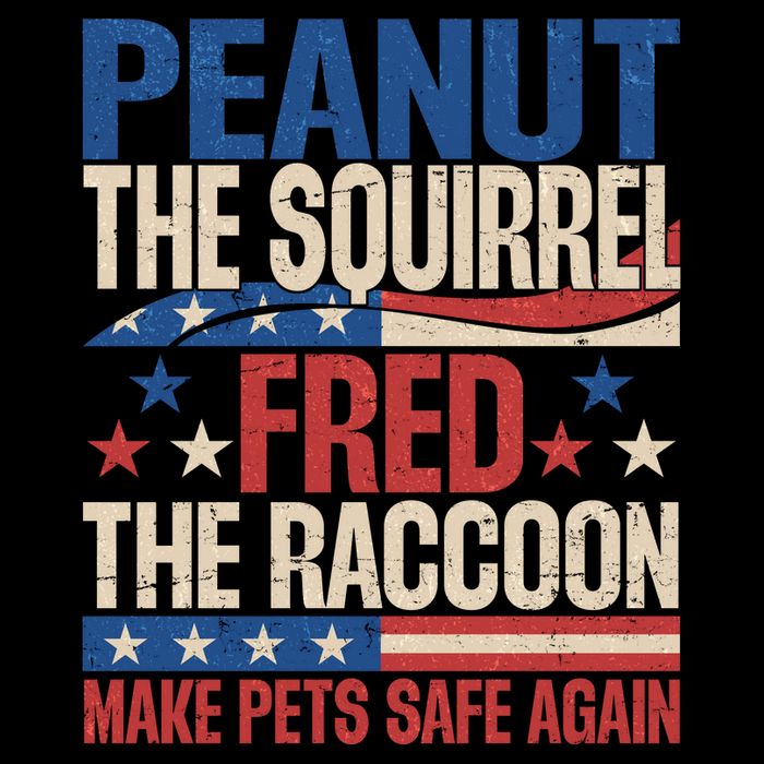 Peanut The Squirrel Fred The Raccoon Make Pets Safe Again Cropped Pullover Crew