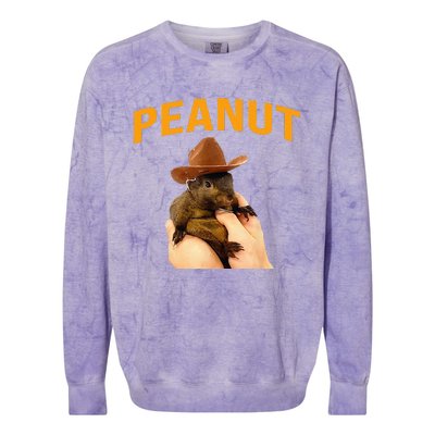 Peanut The Squirrel Colorblast Crewneck Sweatshirt