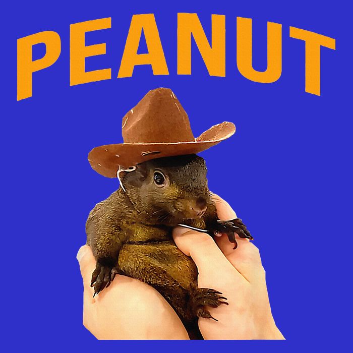 Peanut The Squirrel 16 in Basic Backpack