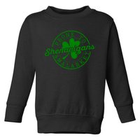 Prone To Shenanigans And Malarkey Funny St Patricks Day Design Toddler Sweatshirt