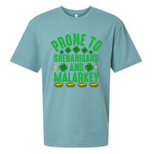 Prone To Shenanigans And Malarkey St Patricks Day Sueded Cloud Jersey T-Shirt