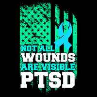 PTSD Flag Not All Wounds Are Visible Womens T-Shirt