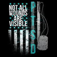 PTSD Veteran Not All Wounds Are Visible  16 in Basic Backpack