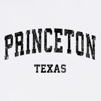 Princeton Texas Tx Vintage Established Varsity Sports T-Shirt