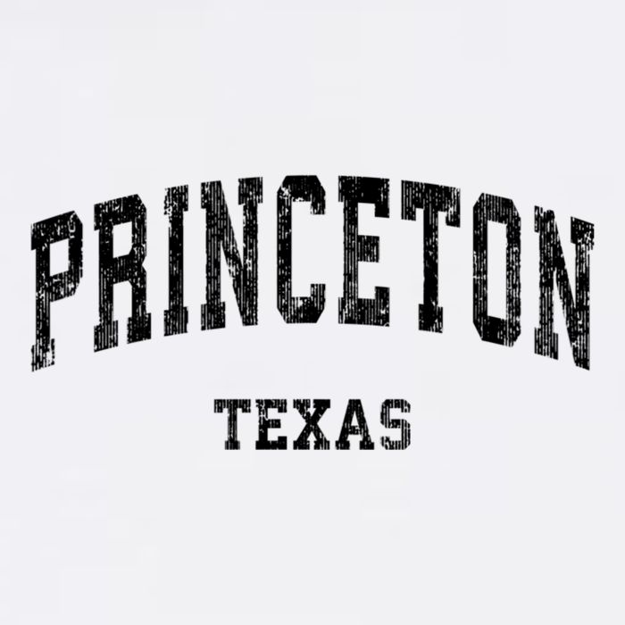 Princeton Texas Tx Vintage Established Varsity Sports T-Shirt