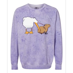 Pelican Tries To Eat Capybara Funny Cute Kawaii Meme Colorblast Crewneck Sweatshirt