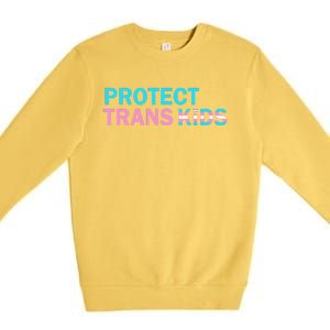 Protect Transg Transg Pride Lgbtq+ Gift Premium Crewneck Sweatshirt