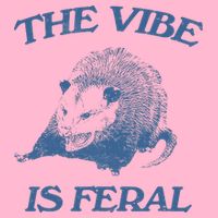 Possum The Vibe Is Feral V-Neck T-Shirt