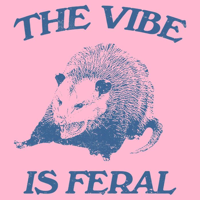 Possum The Vibe Is Feral V-Neck T-Shirt