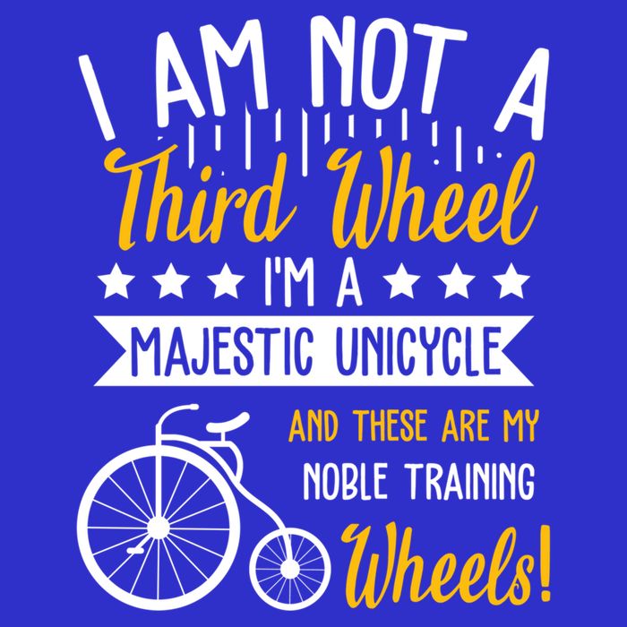 Professional Third Wheel Unicycle Dating Humor Sarcasm Gift Hoodie