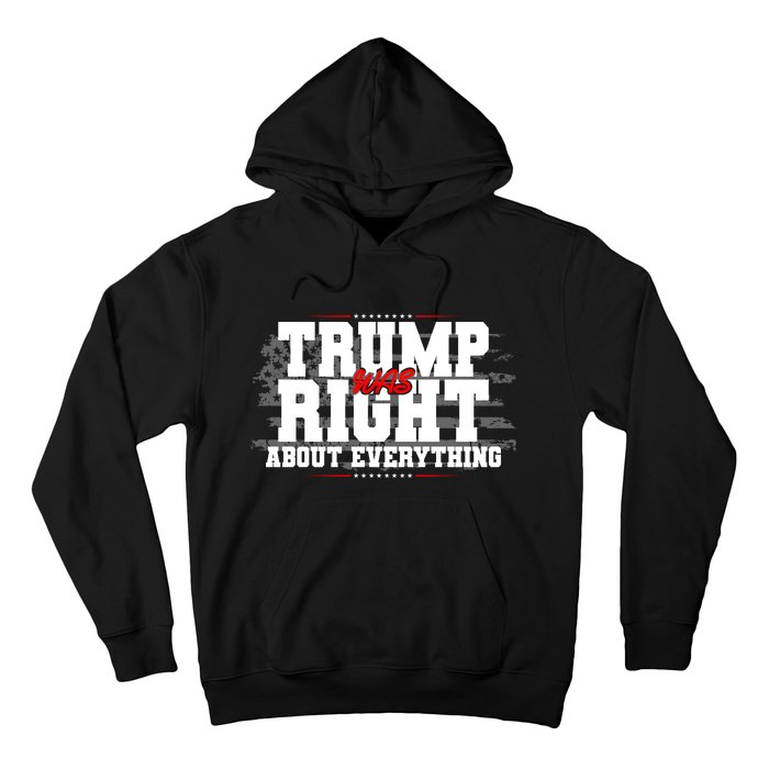 Patriotic Trump Was Right About Everything USA Flag Hoodie