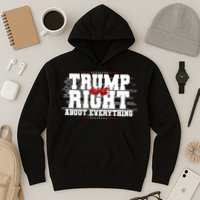 Patriotic Trump Was Right About Everything USA Flag Hoodie