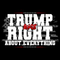 Patriotic Trump Was Right About Everything USA Flag Hoodie