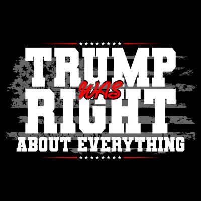 Patriotic Trump Was Right About Everything USA Flag T-Shirt