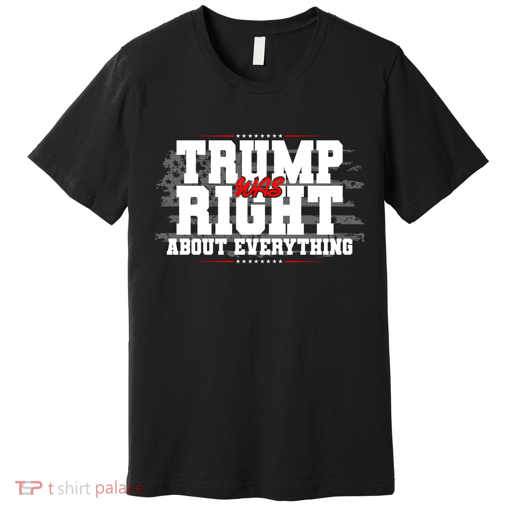 Patriotic Trump Was Right About Everything USA Flag Premium T-Shirt